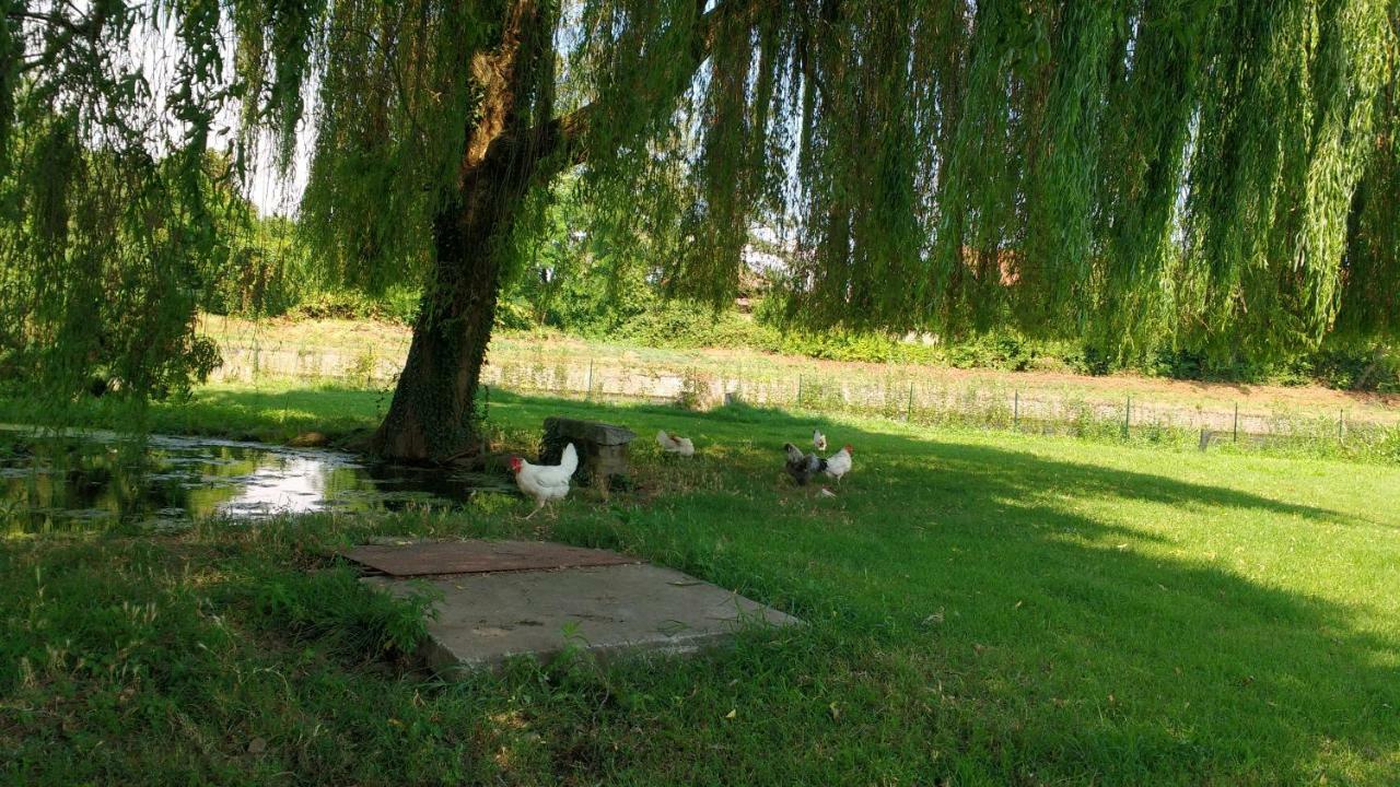 Agriturismo Cascina Poscallone Аббиатеграссо Экстерьер фото